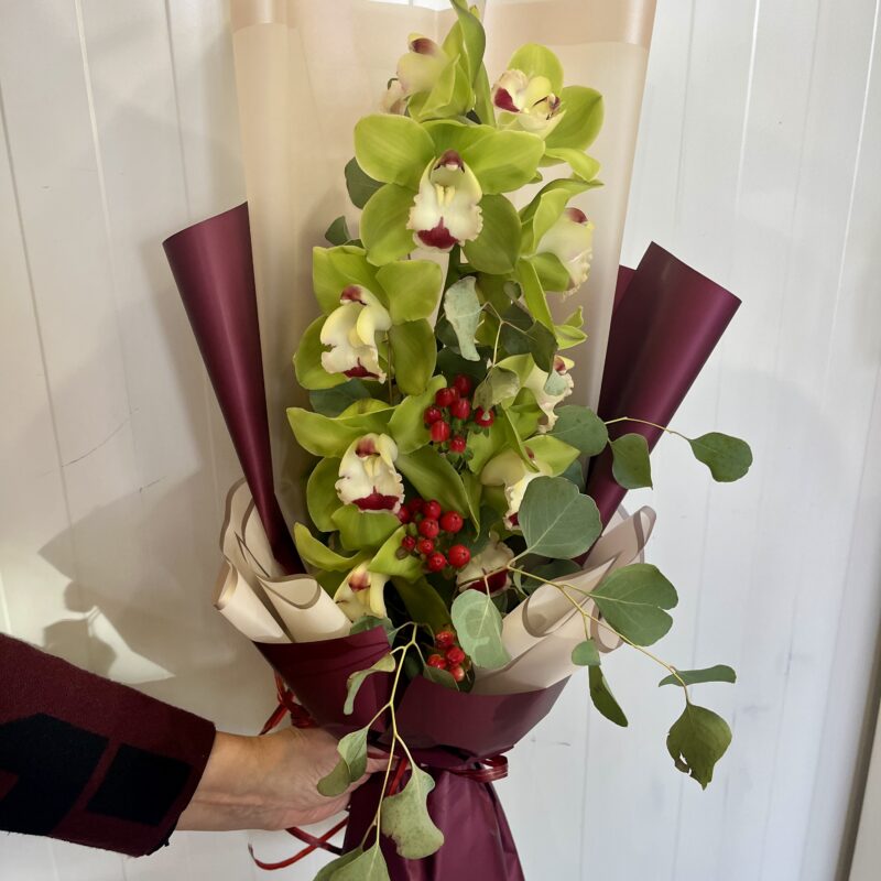 Lillekimp "Cymbidium"